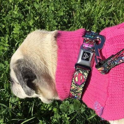 Show full view: Buckle-Down DC Comics Supergirl Tattoo Scene Dog Collar, Small: 13 to 17-in neck, 1.5-in wide slide 9 of 9