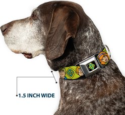 Buckle-Down Scooby Doo Character Faces Dog Collar, Medium: 11 to 16.5-in neck, 1-in wide slide 2 of 8