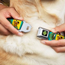 Buckle-Down Scooby Doo Pose & Dog Tag Dog Collar, Medium: 11 to 16.5-in neck, 1-in wide slide 2 of 8