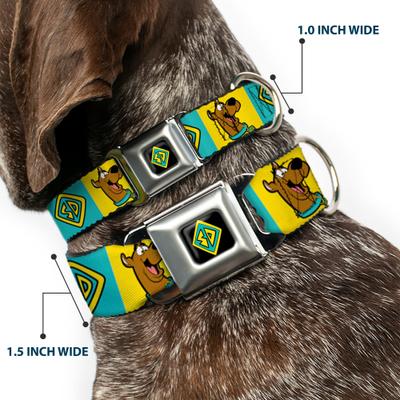 Show full view: Buckle-Down Scooby Doo Pose & Dog Tag Dog Collar, Large: 20 to 31-in neck, 1.5-in wide slide 2 of 8