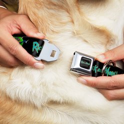 Buckle-Down Rick & Morty Title Logo & Portal Pose Dog Collar, Small: 9.5 to 13-in neck, 1-in wide slide 2 of 8