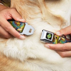 Buckle-Down Scooby Doo & Shaggy Poses Munchies Dog Collar, Medium: 16 to 23-in neck, 1.5-in wide slide 2 of 8