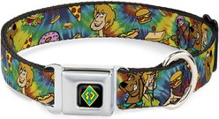 Buckle-Down Scooby Doo & Shaggy Poses Munchies Dog Collar, Large: 20 to 31-in neck, 1.5-in wide