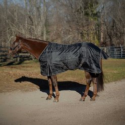 Equinavia Norse Gusseted 100g Horse Stable Blanket, Black, 69-in