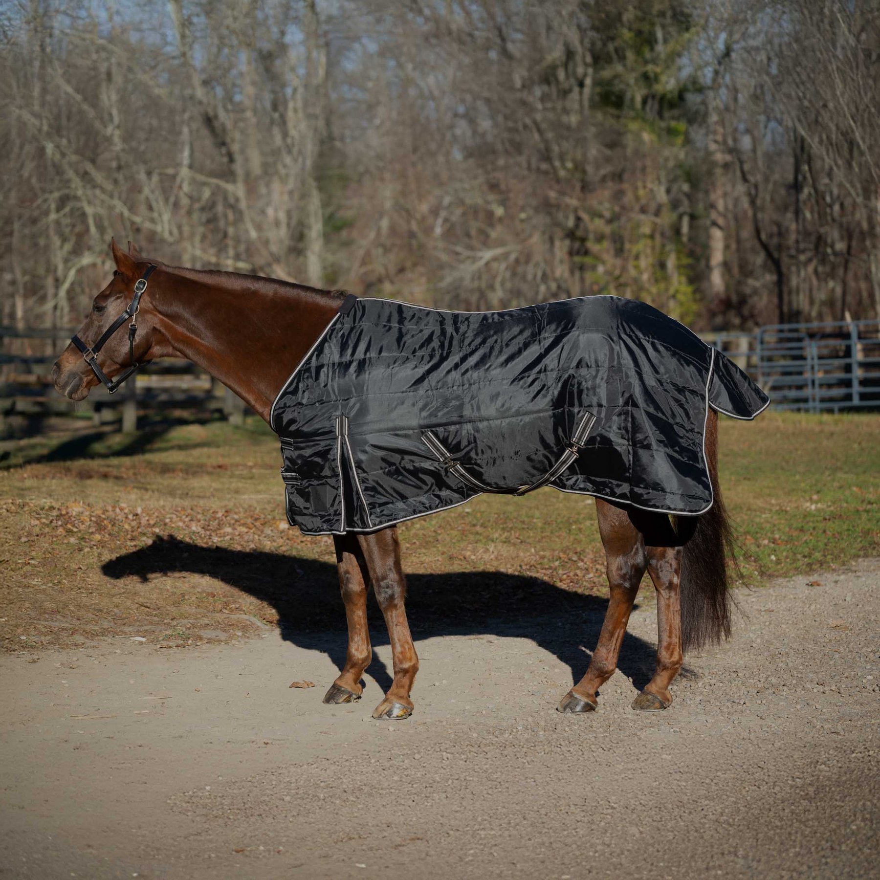 Equinavia Norse Gusseted 100g Horse Stable Blanket, Black, 81-in