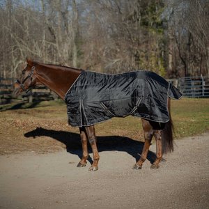 Equinavia Norse Gusseted 100g Horse Stable Blanket, Black, 66-in