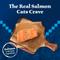 Show in main carousel: Blue Buffalo Wilderness Salmon Grain-Free Canned Cat Food, 5.5-oz, case of 24 slide 4 of 12