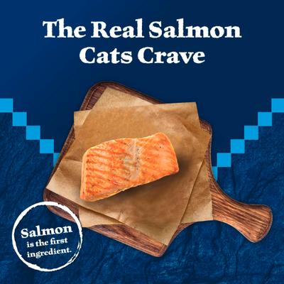 Show full view: Blue Buffalo Wilderness Salmon Grain-Free Canned Cat Food, 5.5-oz, case of 24 slide 4 of 12