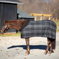 Equinavia Ulla Wool Horse Cooler, Black/Grey, 76-in