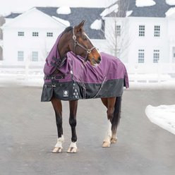 Equinavia Thunder 360 Detachable Neck Light Weight 100g Horse Turnout Blanket, Plum Wine, 75-in