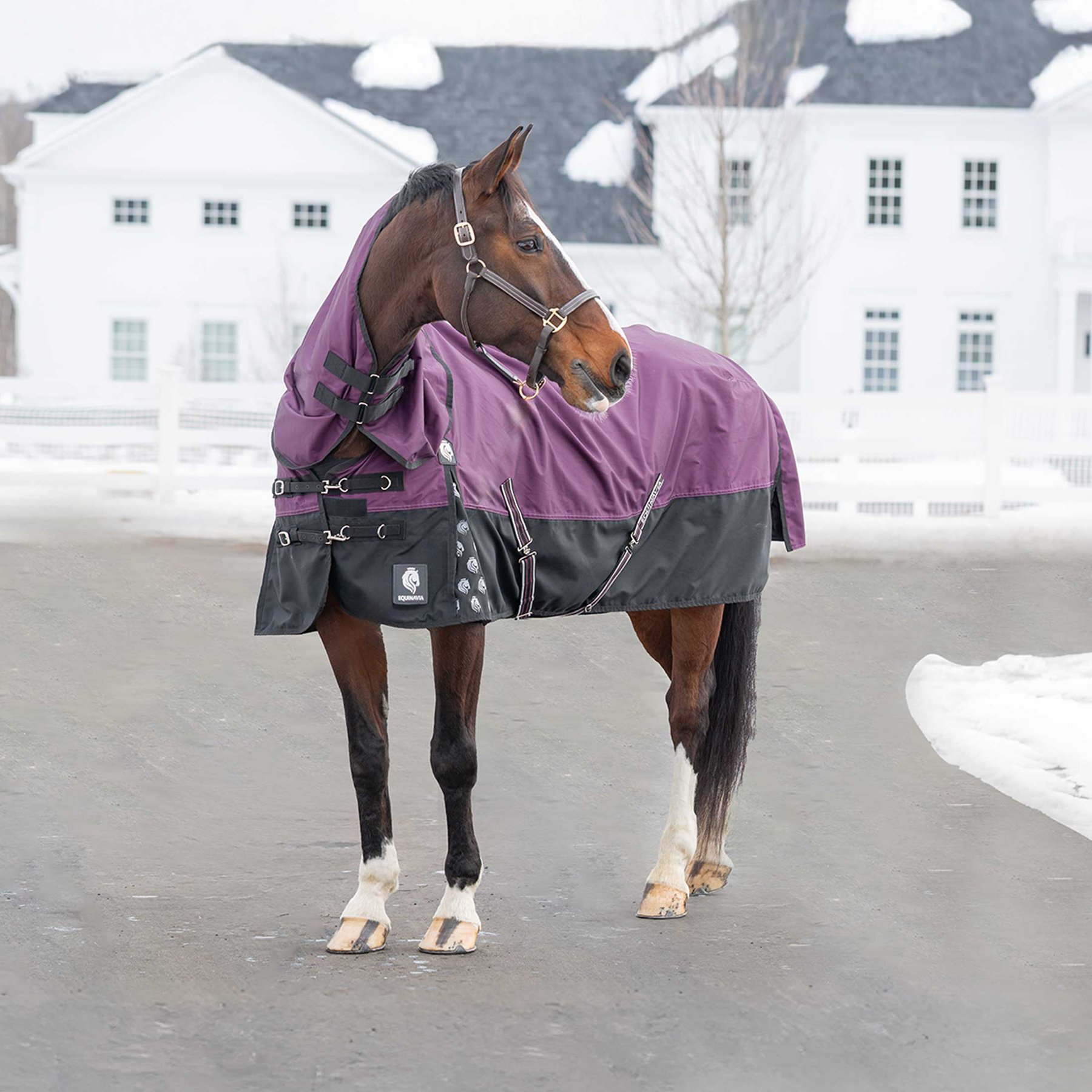 Equinavia Thunder 360 Detachable Neck Light Weight 100g Horse Turnout Blanket, Plum Wine, 81-in