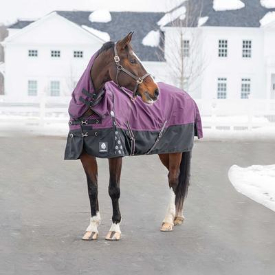 Show full view: Equinavia Thunder 360 Detachable Neck Heavy Weight 300g Horse Turnout Blanket, Plum Wine, 84-in slide 7 of 9
