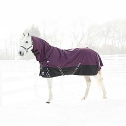 Equinavia Thunder 360 Detachable Neck Mid Weight 200g Horse Turnout Blanket, Plum Wine, 84-in