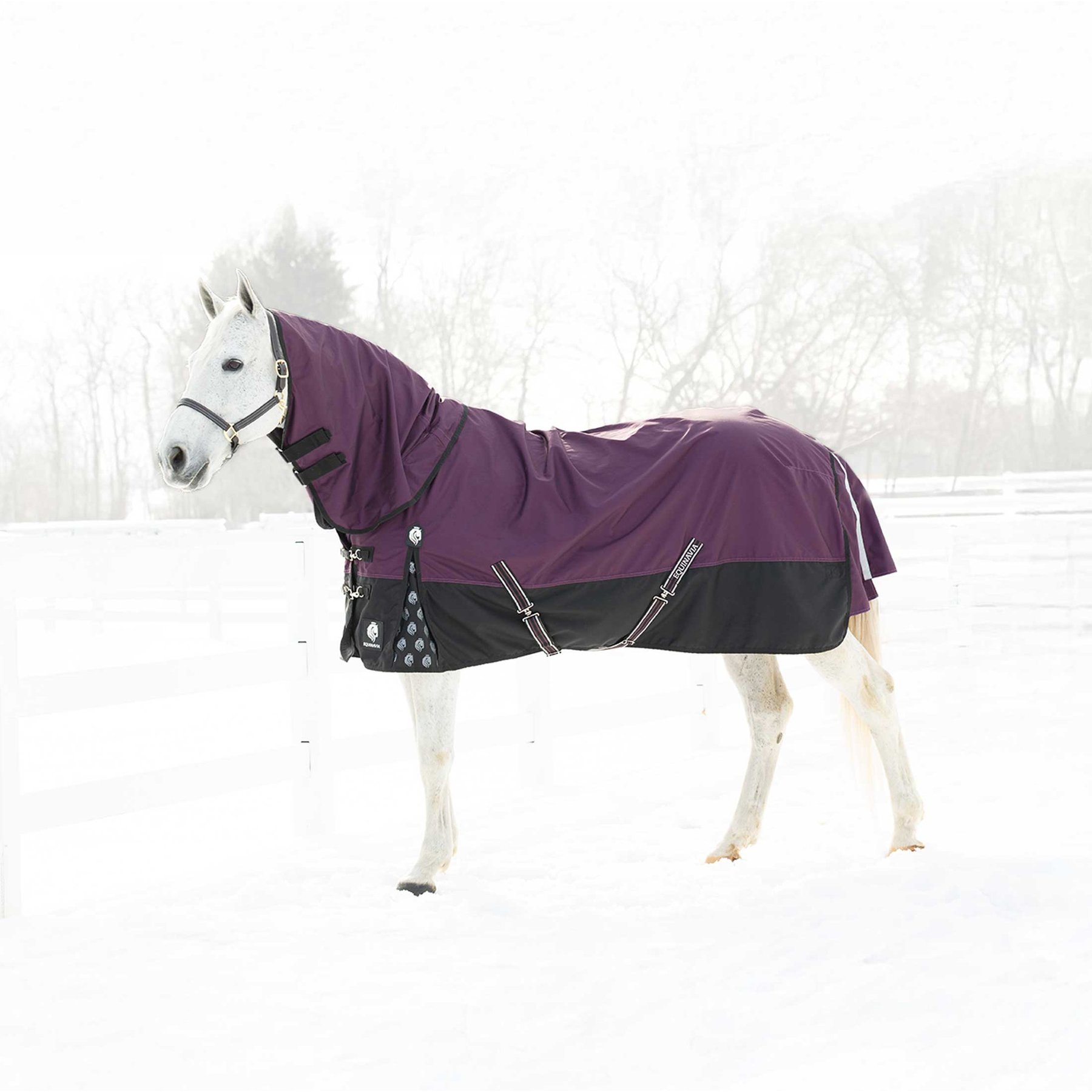 Equinavia Thunder 360 Detachable Neck Mid Weight 200g Horse Turnout Blanket, Plum Wine, 81-in