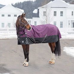Equinavia Thunder 360 Detachable Neck Mid Weight 200g Horse Turnout Blanket, Plum Wine, 81-in slide 2 of 9