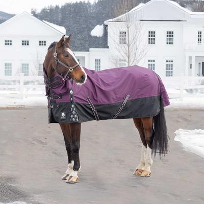 Show full view: Equinavia Thunder 360 Detachable Neck Heavy Weight 300g Horse Turnout Blanket, Plum Wine, 84-in slide 6 of 9