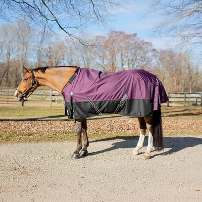 Show full view: Equinavia Thunder 360 Detachable Neck Heavy Weight 300g Horse Turnout Blanket, Plum Wine, 84-in slide 5 of 9