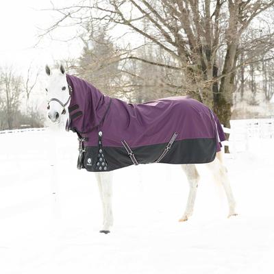 Show full view: Equinavia Thunder 360 Detachable Neck Heavy Weight 300g Horse Turnout Blanket, Plum Wine, 84-in slide 2 of 9