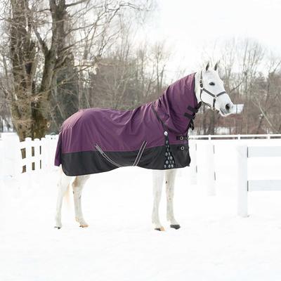 Show full view: Equinavia Thunder 360 Detachable Neck Mid Weight 200g Horse Turnout Blanket, Plum Wine, 84-in slide 2 of 9
