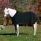 Show in main carousel: Equinavia Koselig Fleece Horse Cooler, Deep Green, 82-in slide 1 of 2