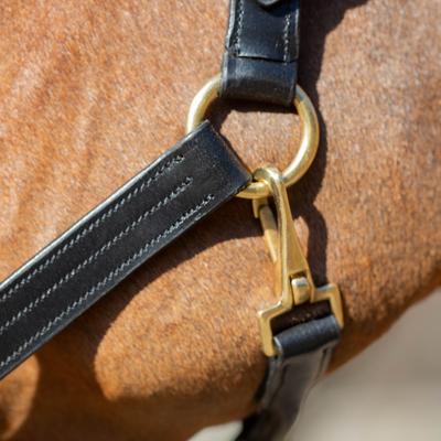 Show full view: Equinavia Valkyrie Classic Leather Horse Halter, Black, Horse slide 7 of 7