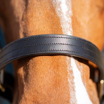 Show full view: Equinavia Valkyrie Classic Leather Horse Halter, Black, Horse slide 3 of 7