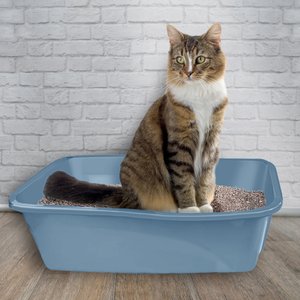 Van Ness Cat Litter Box, Blue, Large