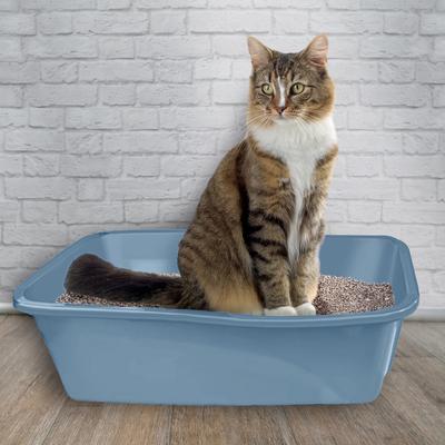 Show full view: Van Ness Cat Litter Pan, Blue, Large slide 6 of 10