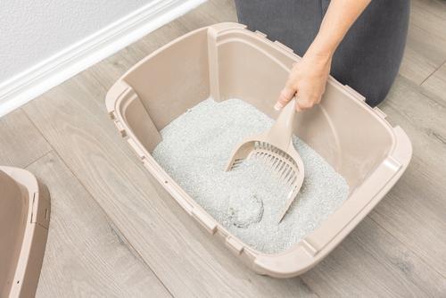 Show full view: Van Ness Cat Litter Scoop, Giant slide 7 of 7