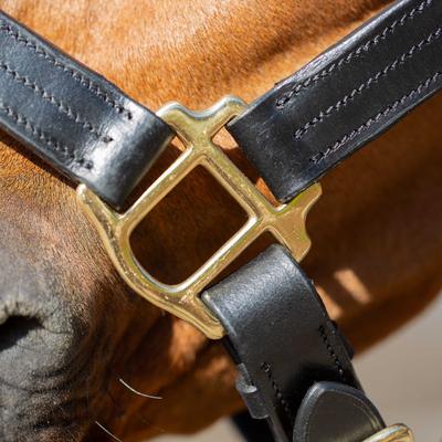 Show full view: Equinavia Valkyrie Classic Leather Horse Halter, Black, Horse slide 6 of 7