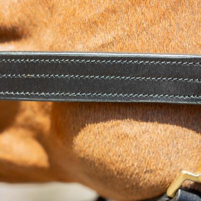 Show full view: Equinavia Valkyrie Classic Leather Horse Halter, Black, Horse slide 4 of 7