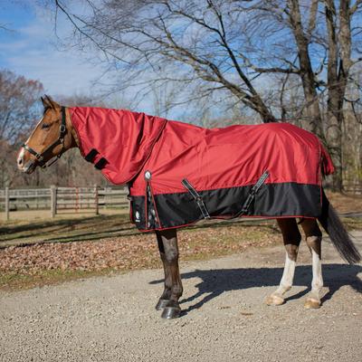 Show full view: Equinavia Norse Light Weight 100g Horse Turnout Blanket, Equestrian Red, 69-in slide 2 of 6
