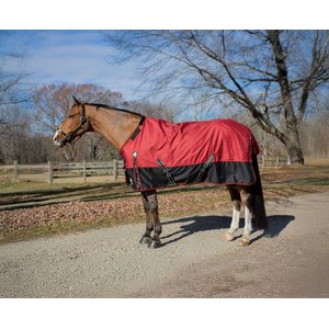 Equinavia Norse Horse Turnout Sheet, Equestrian Red, 72-in
