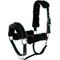 Show in main carousel: Equinavia Valkyrie Ultra Fleece Breakaway Horse Halter, Deep Green/Black, Horse slide 1 of 2