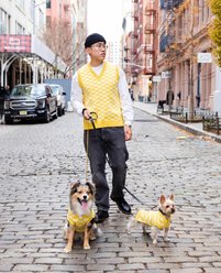 Bespoke Paws Checkered Dog Sweater Vest, Yellow, Medium slide 2 of 6