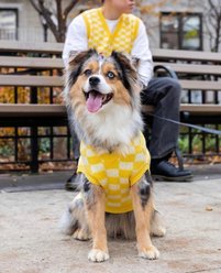 Bespoke Paws Checkered Dog Sweater Vest, Yellow, Large slide 2 of 6