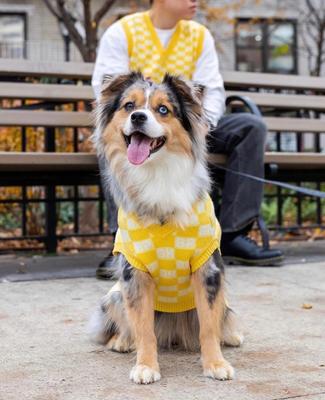 Show full view: Bespoke Paws Checkered Dog Sweater Vest, Yellow, X-Small slide 5 of 6