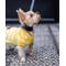 Show in main carousel: Bespoke Paws Checkered Dog Sweater Vest, Yellow, X-Small slide 3 of 6
