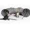 Show in main carousel: Companion Gear Cat Tunnel Toy, 2 count slide 2 of 4