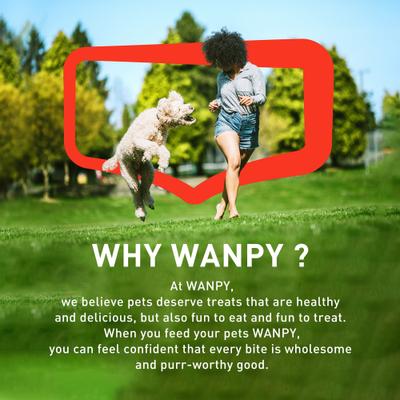 Show full view: Wanpy Prime All Natural Air-Dried Soft Chicken High Protein Jerky Strips Cat Treats, 2.82-oz bag slide 8 of 9