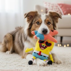 SpongeBob Spongebob & Patrick Valentines Day Plush Dog Toy, 2 count slide 2 of 6