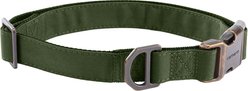 Carhartt Field Fully Adjustable Durable 600-Denier Fabric Dog Collar with Reflective Wordmark, Oak Leaf, Large
