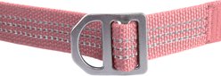 Carhartt Field Durable 600-Denier Fabric Dog Leash with Adjustable Metal D-Ring, Rose Tint, Large slide 2 of 7