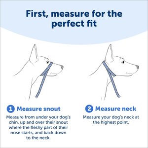 PetSafe Gentle Leader Padded No Pull Dog Headcollar, Deep Purple, Medium: 9 to 19-in neck