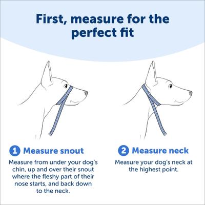 Show full view: PetSafe Gentle Leader Padded No Pull Dog Headcollar, Red, Small: 7 to 15-in neck slide 5 of 12