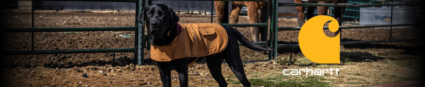 Carhartt