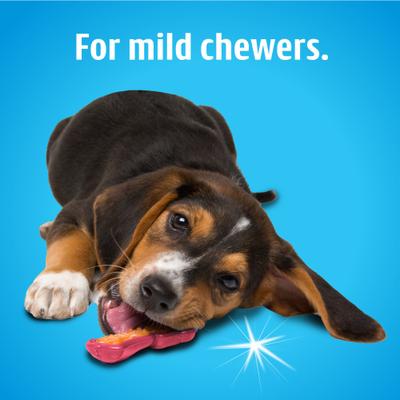 Show full view: Hartz Chew 'n Clean Dental Duo Dog Treat & Chew Toy, Color Varies, 3 count, Large slide 5 of 11
