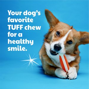 Hartz Chew 'n Clean Tuff Bone Tough Dog Chew Toy Toy, Color Varies, Small