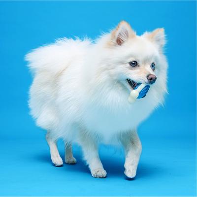 Show full view: Hartz Chew 'n Clean Tuff Bone Tough Dog Chew Toy Toy, Color Varies, Small slide 7 of 11