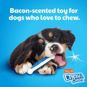 Hartz Chew 'n Clean Tuff Bone Tough Dog Chew Toy Toy, Color Varies, Small